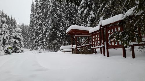 METEO: În această noapte va ninge la munte și se va forma polei în unele zone