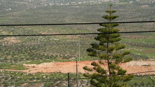 O membră a Camerei Reprezentanților din Partidul Republican militează pentru redenumirea Cisiordaniei în Iudeea și Samaria, iar președintele Donald Trump sprijină inițiativa legislativă