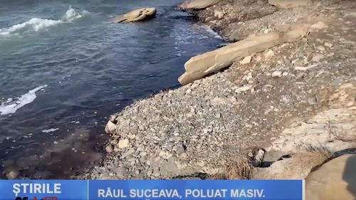 UPDATE O poluare pe râul Suceava a provocat moartea unui număr foarte mare de pești / Populația a fost avertizată să nu consume pește din râu