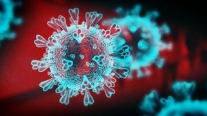Un studiu sugerează că noul coronavirus ar prefera un anumit tip de climat: Zone cu temperaturi cuprinse între 5 și 15 grade și cu umiditate între 3 şi 10 grame pe metru cub