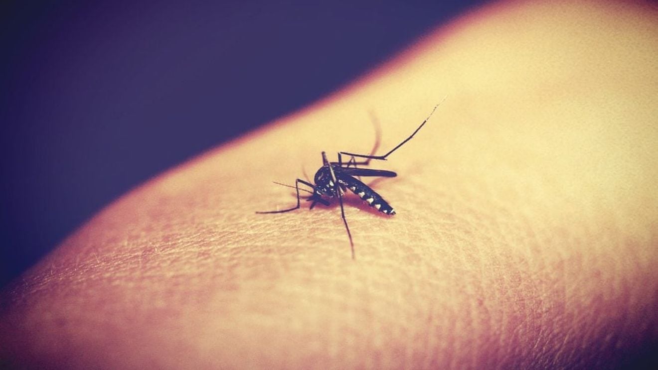 Epidemiile provocate de boli apărute în ţările sărace, cele mai letale în 2018