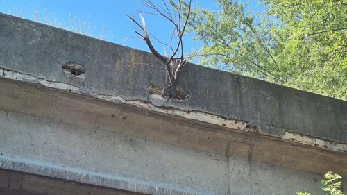 Încep lucrările la podul principal din Parcul Tineretului, anunță Nicușor Dan/ Circulaţia pietonală, închisă temporar atât pe pod, cât şi pe aleile de sub acesta