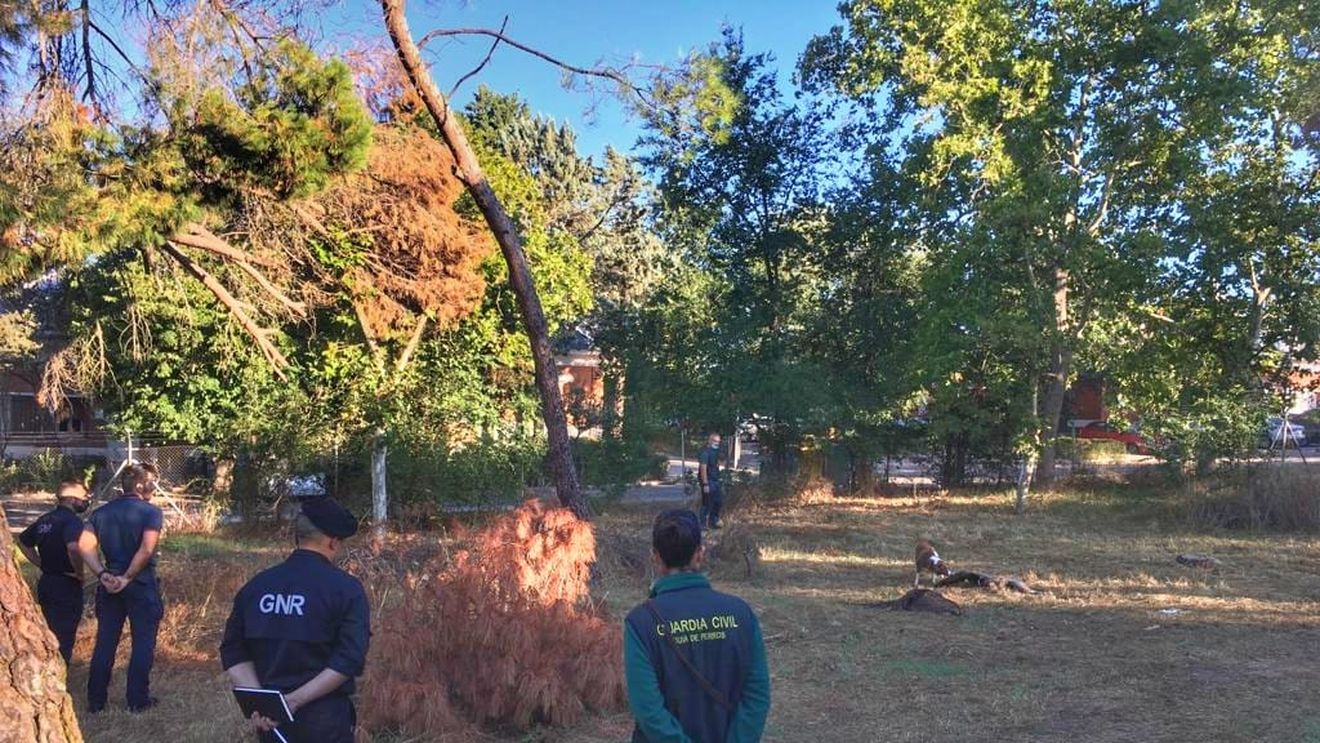 Poliția din Spania a confiscat una dintre cele mai mari cantităţi de animale împăiate găsită în Europa