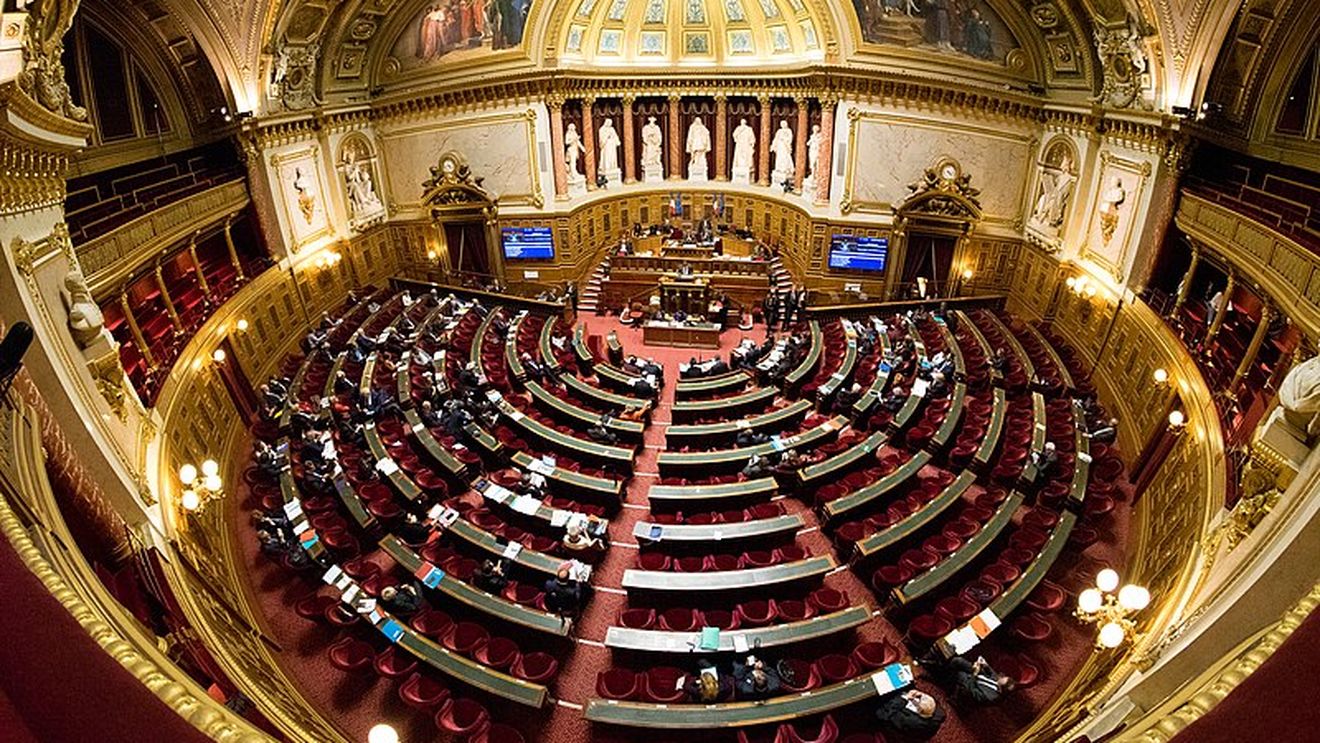 Un „cocktail” toxic, depistat în părul senatorilor francezi: „Tragem un semnal de alarmă”