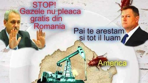 Liviu Pop, postare cu mesaj deschis anti-occidental: SUA, Germania, Olanda și Austria - personalizate de gândaci / Lider PNL: Ați jignit niște parteneri esențiali pentru România, care ne sunt parteneri economici și ne apără spațiul aerian