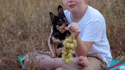 Care sunt cele mai periculoase alimente pentru pisici și câini pe care stăpânii le oferă accidental / Medicul veterinar Beatrice Ilea atrage atenția: „Par alimente obișnuite, dar pot fi chiar letale!”