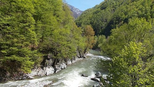 Un grup de ecologiști îi cere președintelui să nu promulge legea care transformă toate hidrocentralele în lucrări de interes public major. ”Vor fi distruse ecosistemele râurilor de munte, este un ecocid”