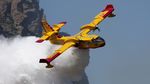 Stare de urgenţă la Los Angeles, după câteva zile de luptă cu un incendiu pe coasta de vest a SUA
