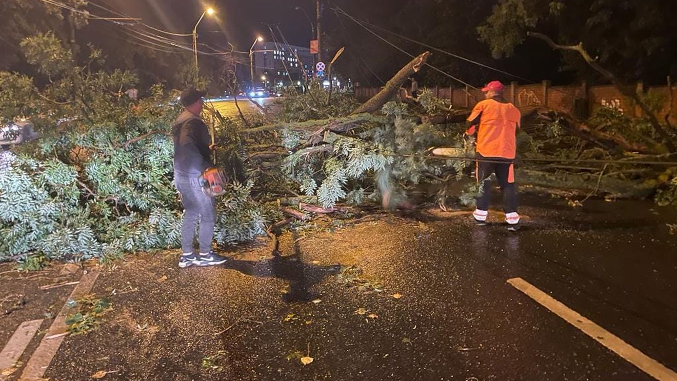Acoperiş căzut peste un copil de 10 ani într-o localitate din județul Timiș şi mai mulţi copaci prăbuşiţi peste maşini sau peste drumuri după o furtună puternică / Judeţul se află sub cod roşu de vijelie