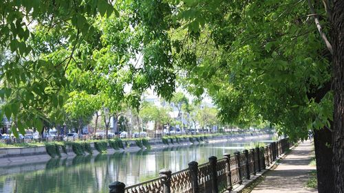 „Dâmbovița 2035”, competiție pentru amenajarea malurilor râului pe 6 zone din zona urbană a Bucureștiului, acum un canal segmentat pe 17 km