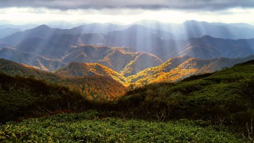 Transalpina, în topul peisajelor de toamnă recomandate de Wall Street Journal turiștilor americani