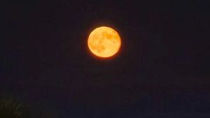 Luna va deveni roşie în timpul eclipsei din noaptea de joi spre vineri
