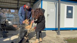 O căţeluşă care a dispărut în Ajun de Crăciun, după ce s-a speriat de petarde, a fost găsită după o lună şi jumătate / Animalul, căutat de copiii proprietarilor, ajunsese într-un adăpost, fotografia fiind distribuită chiar de către poliţişti