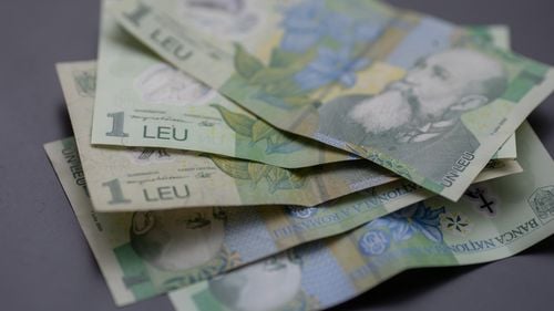 Năsui (USR) despre scăderea pragului pentru IMM-uri: Distrugerea microîntreprinderilor este o imensă greșeală