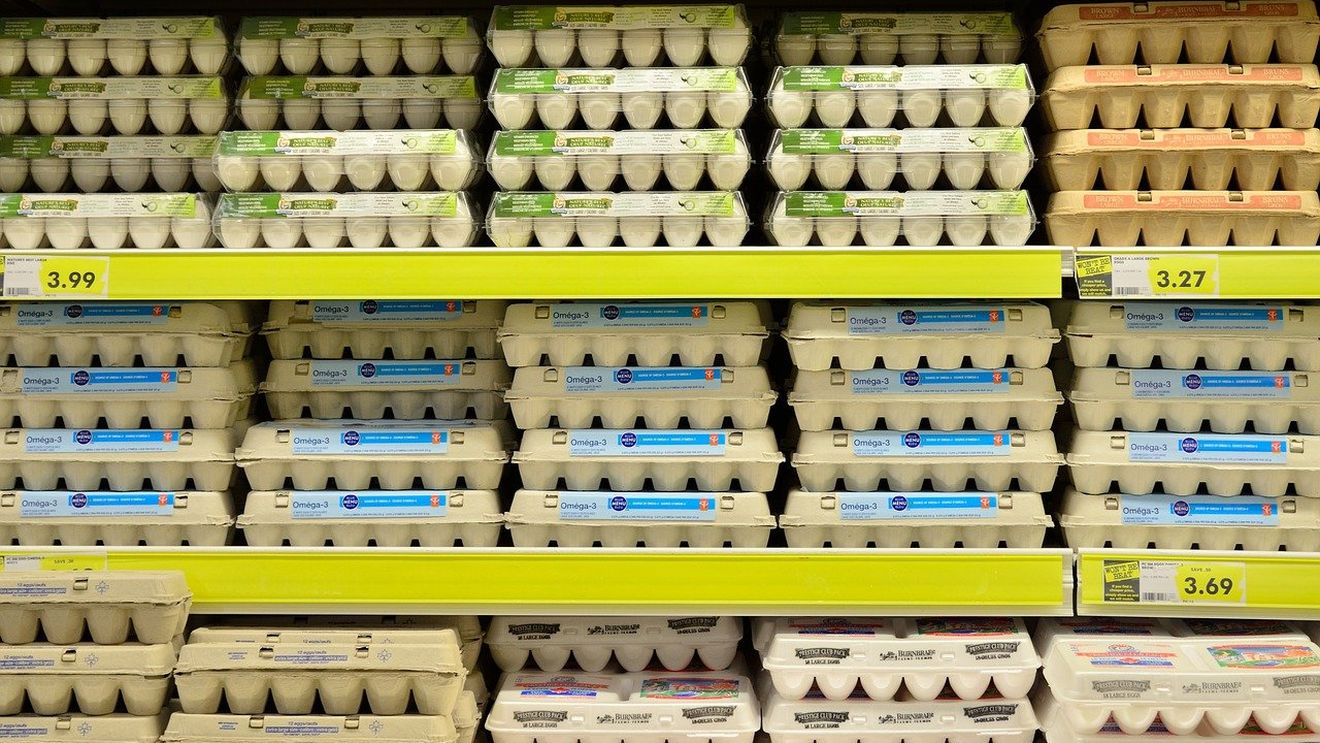 Moldova poate exporta în UE carne procesată de pasăre și ouă de consum