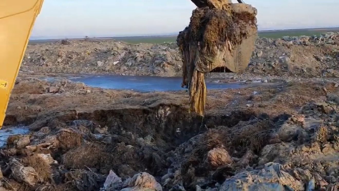 Specialiștii evaluează gradul de contaminare pe terenul unde au fost îngropate ilegal oile înecate pe nava eşuată în Portul Midia / Făptașii riscă o pedeapsă cu închisoare de până la 5 ani