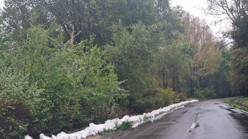 Cod roșu de ploi: Valea Portului din Constanța se închide traficului rutier din cauza riscului de surpare, anunță primăria / Primarul Chițac a îndemnat constănțenii să-și facă provizii pentru 48 de ore