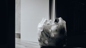 Pungile din plastic, interzise în Germania începând din 2022