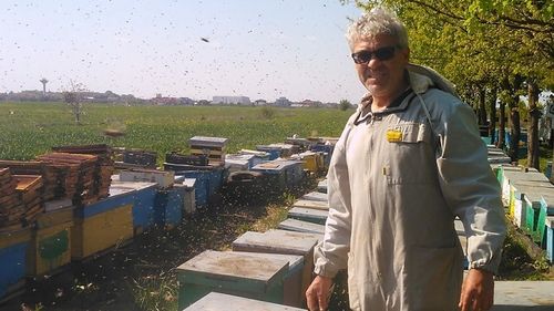 Impactul trecerii în online asupra micilor afaceri: un apicultor și-a salvat businessul prin vânzările pe net după ce târgurile s-au închis