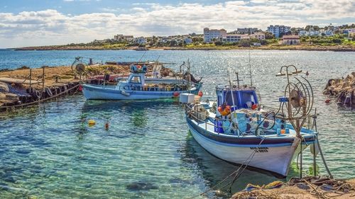 Pizza cu caviar la 1.050 de dolari într-un restaurant din Cipru. Raiul oligarhilor ruși ajutați să scape de sancțiuni