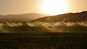 Agricultorii susțin că lipsa apei de irigat creează situaţii tensionate în toată ţara