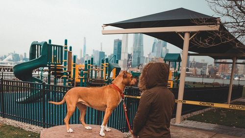 Sibiul va avea primele trei locuri de joacă pentru câini: spații de 300 de metri patrați împrejmuite, dotate cu tunel, cercuri și obstacole pentru sărituri