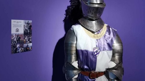 Furt din muzeul deschis la tribuna oficială a stadionului „Dan Păltinișanu” din Timișoara. ”Îl invităm pe cel care a comis această greșeală să o repare, returnând cât mai repede posibil obiectul”