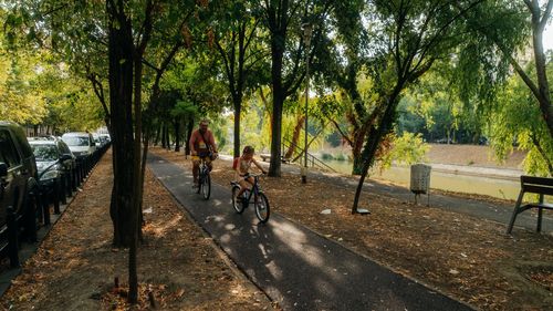 Primăria Timișoara, proiect pentru o pistă de biciclete de aproape 3 kilometri, între Podul Andrei Șaguna și comuna Ghiroda