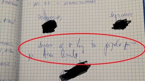 Senatorul Mihai Goțiu publică un proces verbal în care susține că viceprimarul Aurelian Bădulescu a scris sub semnătură despre un consilier USR: Declar că o bag în p... m... pe Ana Ciceală