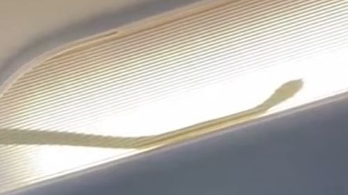 VIDEO Un avion de călători malaezian, nevoit să devieze de la traseu după descoperirea unui şarpe în corpurile de iluminat din cabină