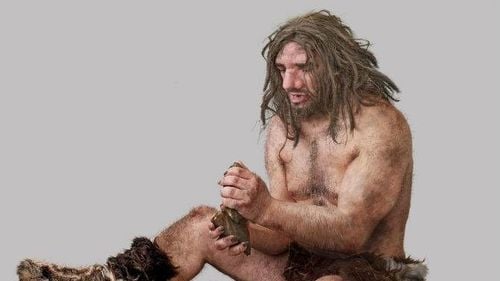 Denisovanii, o specie de oameni înrudită cu neanderthalienii și cu homo sapiens, a populat platoul tibetan în urmă cu peste 100.000 de ani şi ar fi transmis genele care îi ajută în prezent pe şerpaşi să supravieţuiască la altitudini mari