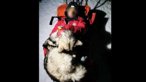 Un câine a salvat viața unui turist accidentat după ce a căzut într-o râpă în munții din Croația / Patrupedul s-a așezat deasupra lui și i-a ținut de cald timp de 13 ore până la sosirea ajutoarelor