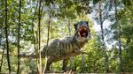 Parc cu dinozauri în mărime naturală, SPA și bob de vară, construite la Ineu cu fonduri europene / Investiție de aproape un milion de euro – fonduri europene