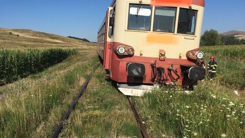 Un tren Regio a deraiat după ce a lovit o vacă, în Mureș/ În tren nu se aflau pasageri