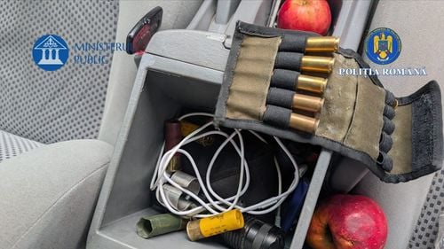 Tăierile ilegale de păduri, anchetate de Parchetul General: Percheziții și audieri în patru dosare cu prejudiciu estimat la aproape 330.000 euro (galerie foto)