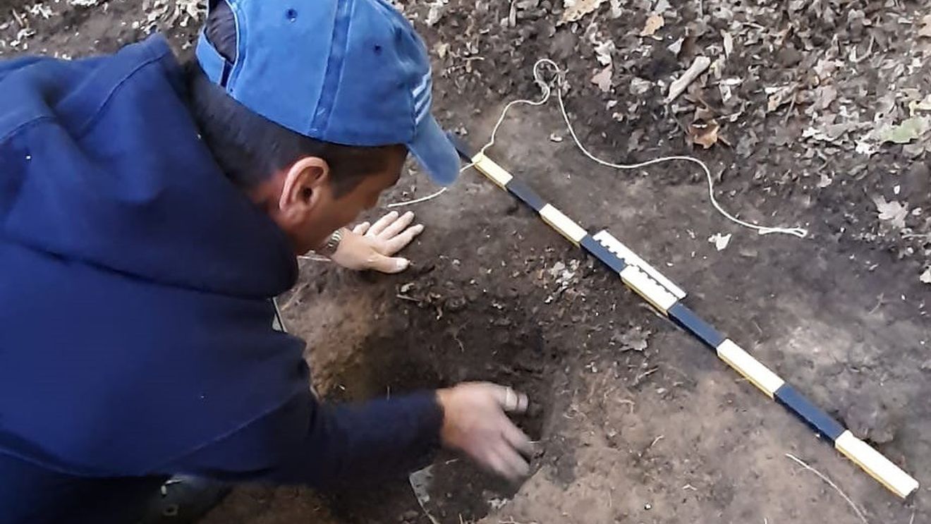 Tezaur dacic, descoperit într-o pădure din județul Alba cu ajutorul unui căutător de comori, după o investigație pornită de la o postare în mediul online
