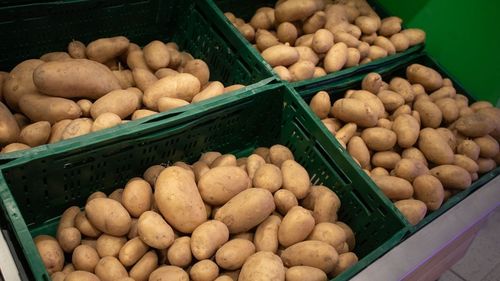 Eurostat: România, printre statele UE cu o recoltă ridicată cartofi, în 2023, cu peste un milion de tone / Germania produce cel mai mult: peste 11 milioane de tone