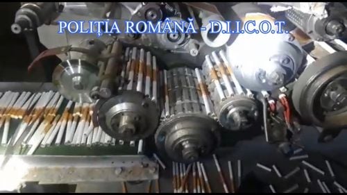 Fabrică de țigarete contrafăcute improvizată sub o hală, descoperită de polițiști în urma perchezițiilor/ Au fost ridicate 120.000 de țigarete contrafăcute, 700 de kilograme de tutun mărunțit și 200.000 de ambalaje inscripționate