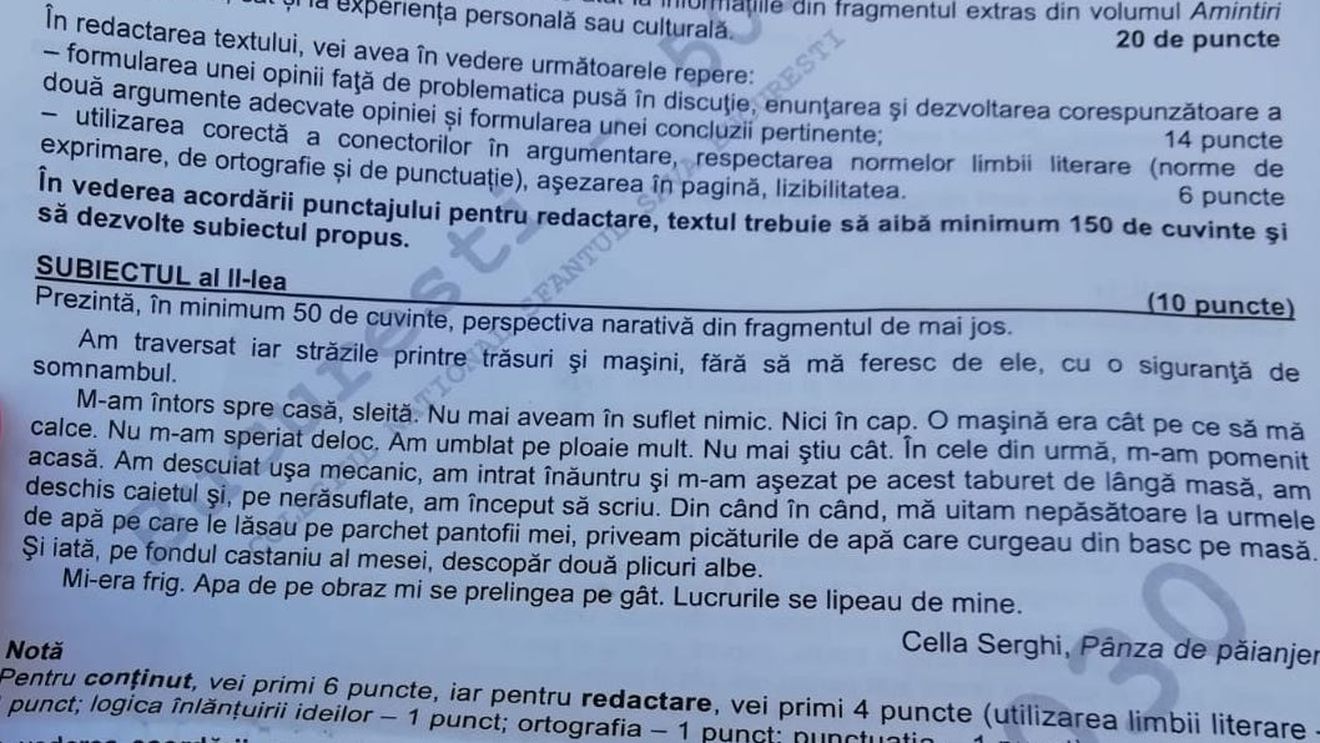 Subiecte clasa a XI-a simulare BAC 2019 – Ce subiecte au avut de rezolvat la simularea examenului de Limba și literatura română elevii de clasa a XI-a