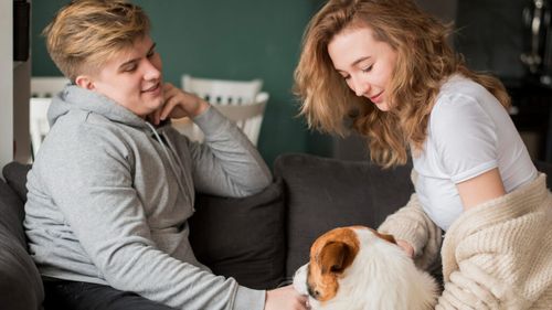 Animalele de companie nu mai sunt “obiecte”: Un nou proiect de lege din SUA propune reguli clare pentru custodia lor în caz de divorț