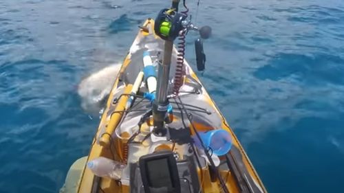 VIDEO Momentul în care un rechin atacă un caiac, surprins pe cameră