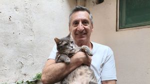 Calvarul trăit de un proprietar de pisică. A aflat că riscă 300.000€ amendă și eutanasierea animalului