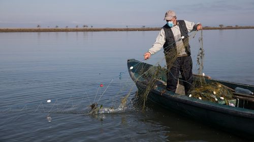 Federaţia producătorilor de peşte din Deltă vrea coduri QR pentru pescari / ”Se pot monitoriza în timp real cantităţile de peşte de pe tot arealul rezervaţiei”