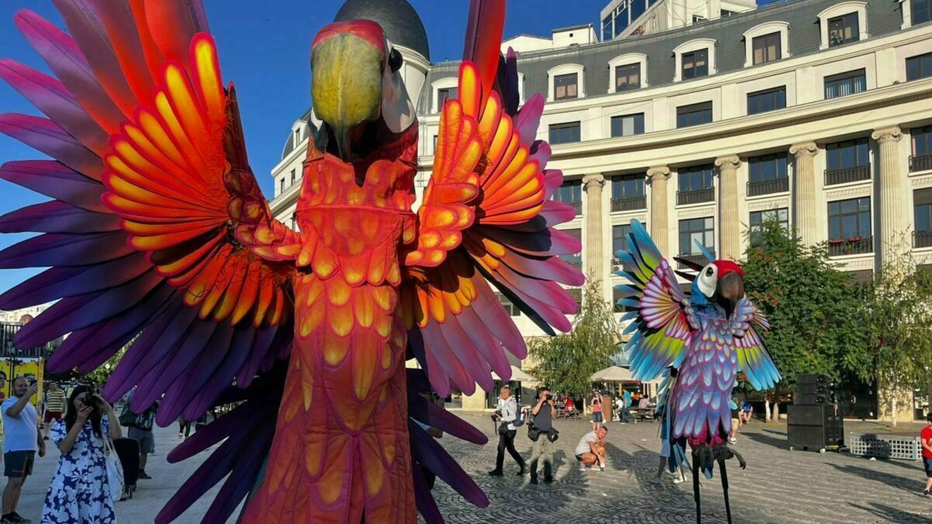 GALERIE FOTO Cum a fost la Festivalul de teatru în stradă B-FIT/ Animale și păsări gigatice, un pian pe care artiștii cântă dansând, muzică și mișcare pe apă