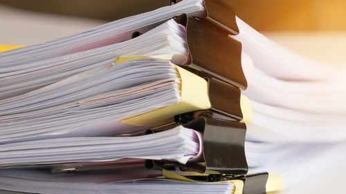 Președintele Nicușor Dan întoarce la Parlament legea privind noile taxe consulare