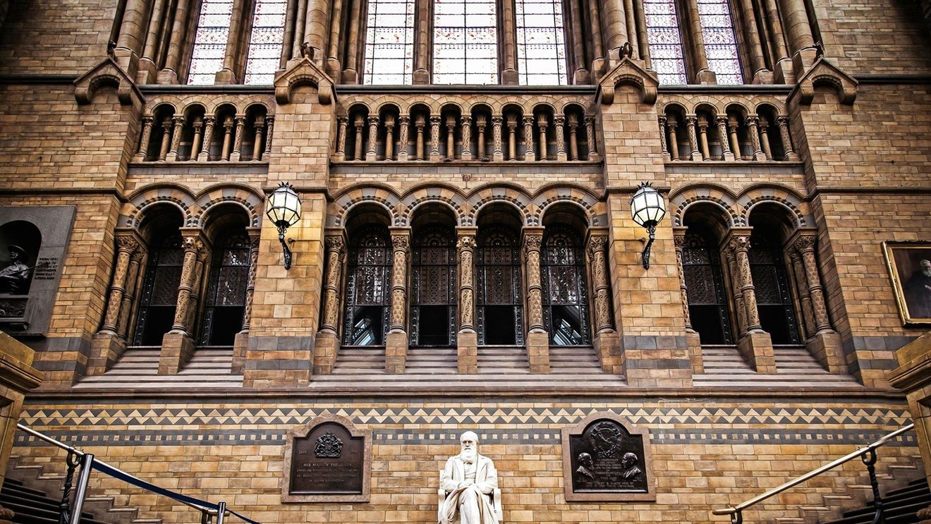 Conţinutul întregii biblioteci personale a lui Charles Darwin, dezvăluit pentru prima dată / Ultima carte care i-a fost citită cu voce tare