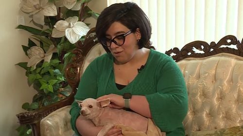 O femeie și-a regăsit câinele după 9 ani / Gizmo a fost identificat prin microcip după ce a fost dus la veterinar de un bun samaritean