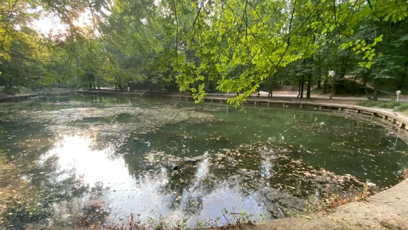 Lacul parcului central din Sfântu Gheorghe va fi curăţat. Țestoasele, nuferii și peștii - mutați temporar