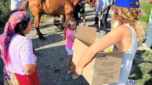 „Am văzut caii ăștia pe drumurile patriei, slabi, șchiopătând și am zis că trebuie să intervenim cumva. Principala lor problema era lipsa potcovarilor” / Cum sunt îngrijiți gratuit caii din zonele defavorizate