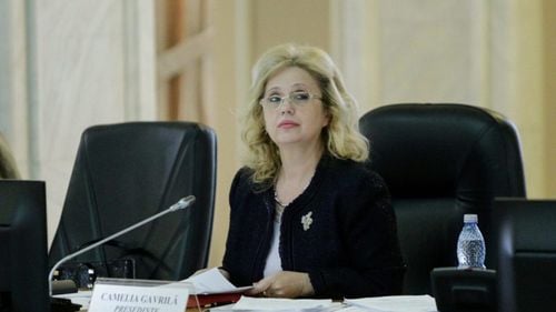 Cine este Camelia Gavrilă, propusă de Dăncilă ministru al Educației